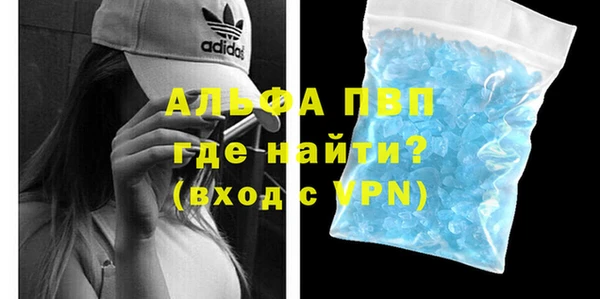 индика Медногорск