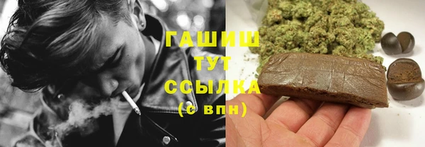 индика Медногорск