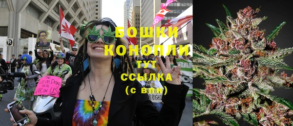 гашик Мегион