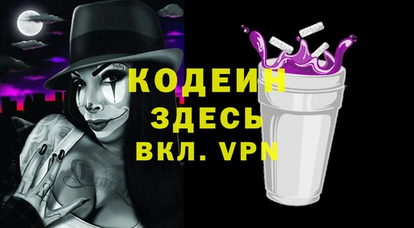 индика Медногорск