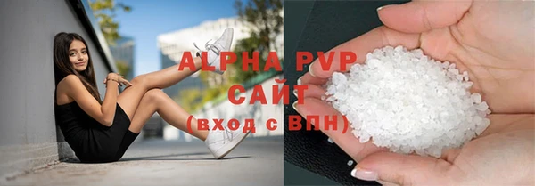 индика Медногорск