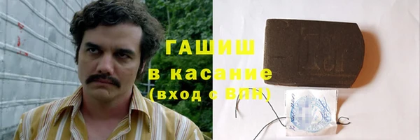 гашик Мегион