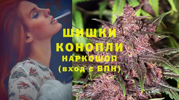 индика Медногорск