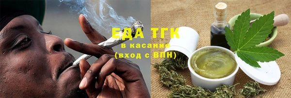 индика Медногорск
