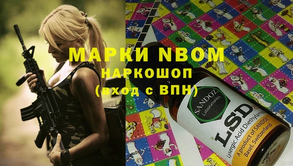индика Медногорск